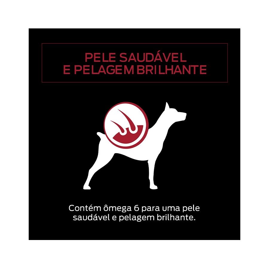 Ração Úmida Pro Plan para Cães Adultos Sachê sabor Carne 
