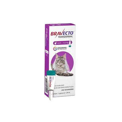 Antipulgas e Carrapatos Bravecto Transdermal para Gatos de 6,25kg a 12,5kg - 500mg 1 pipeta