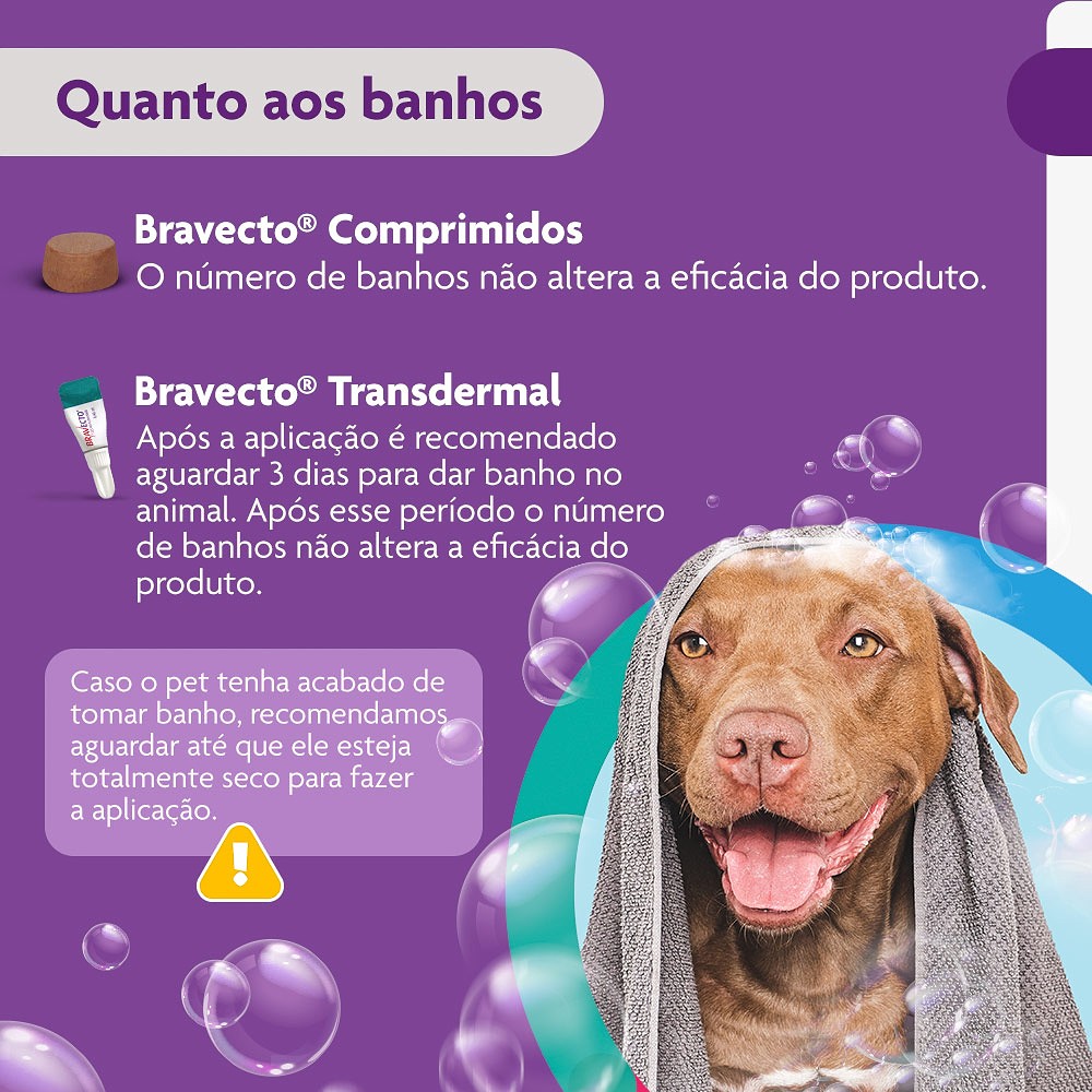 Antipulgas e Carrapatos Bravecto para Cães de 20kg a 40kg - 1000mg
