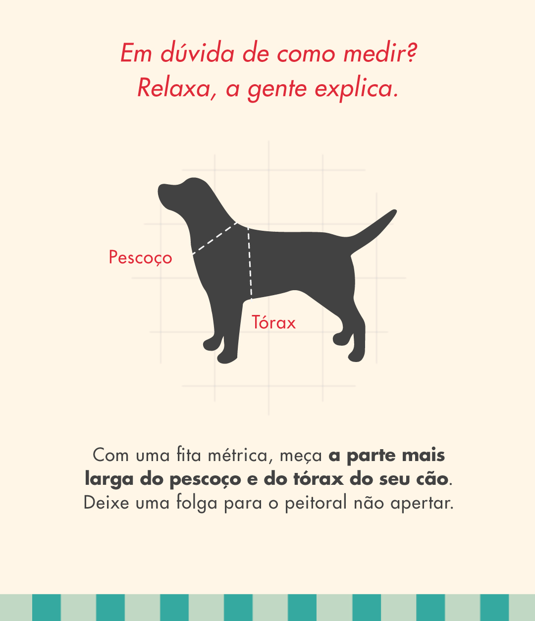 Peitoral H para Cachorros Yacht