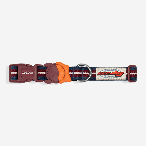 Coleira para Cachorros Velvet Vibes Dropout | Zee.Dog