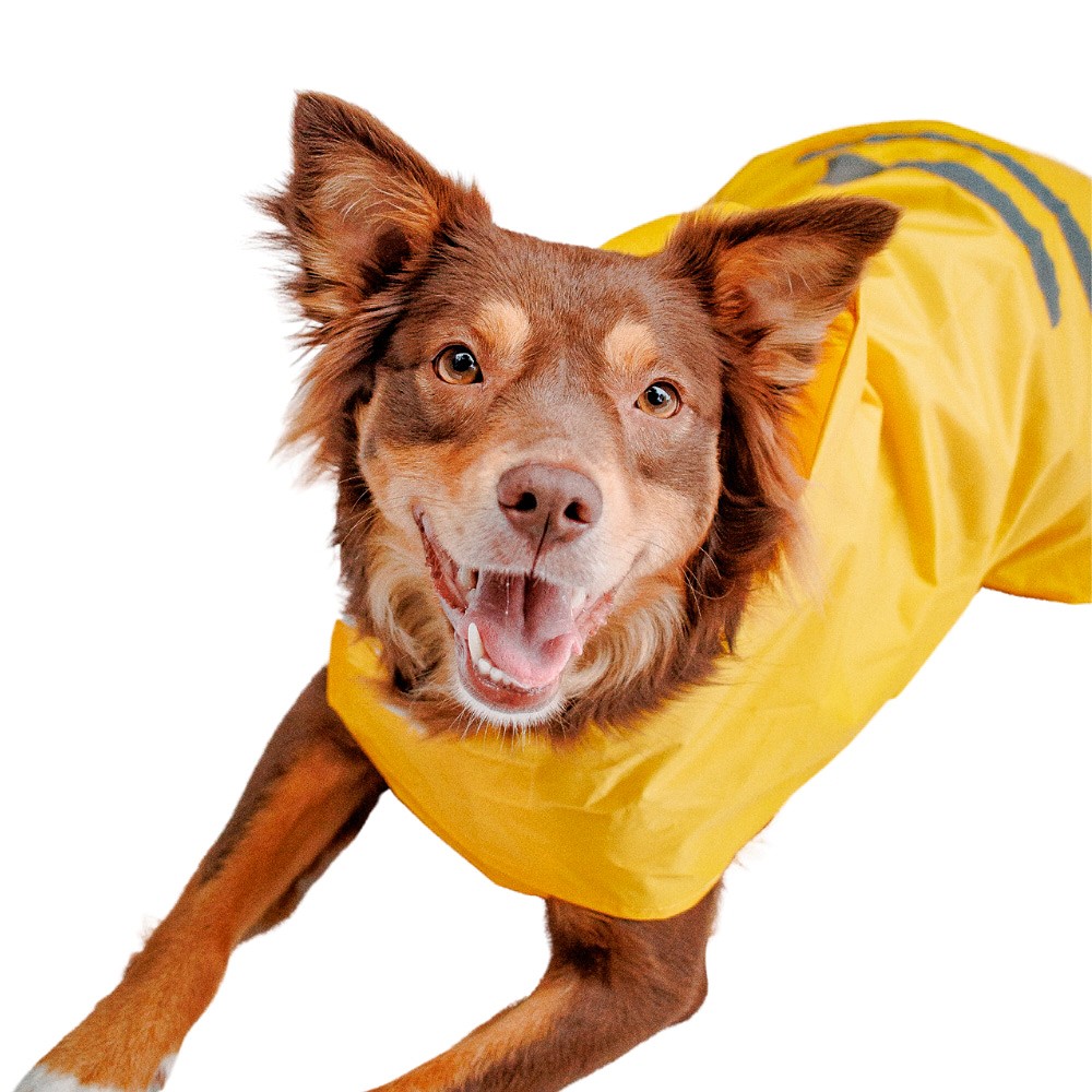 Capa de Chuva Bendog Amarela para Cães