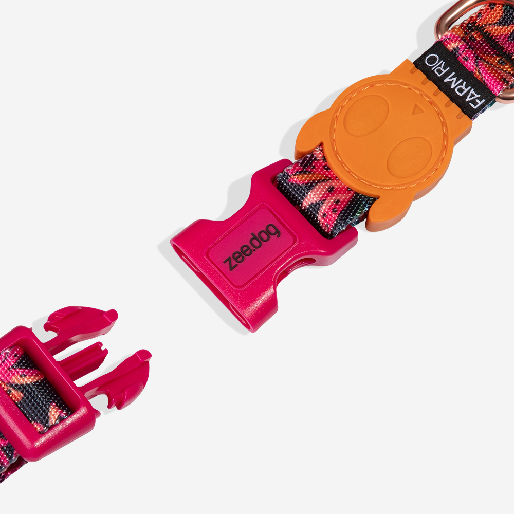 Coleira para Cachorros FARM Rio Selva | Imagem 2