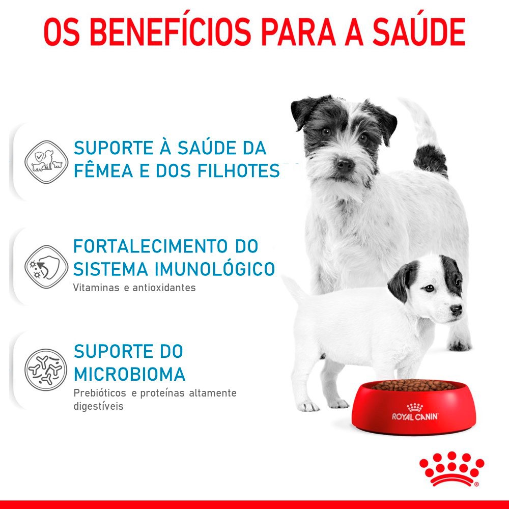 Ração Royal Canin Starter Mother e Baby para Cães de Porte Mini