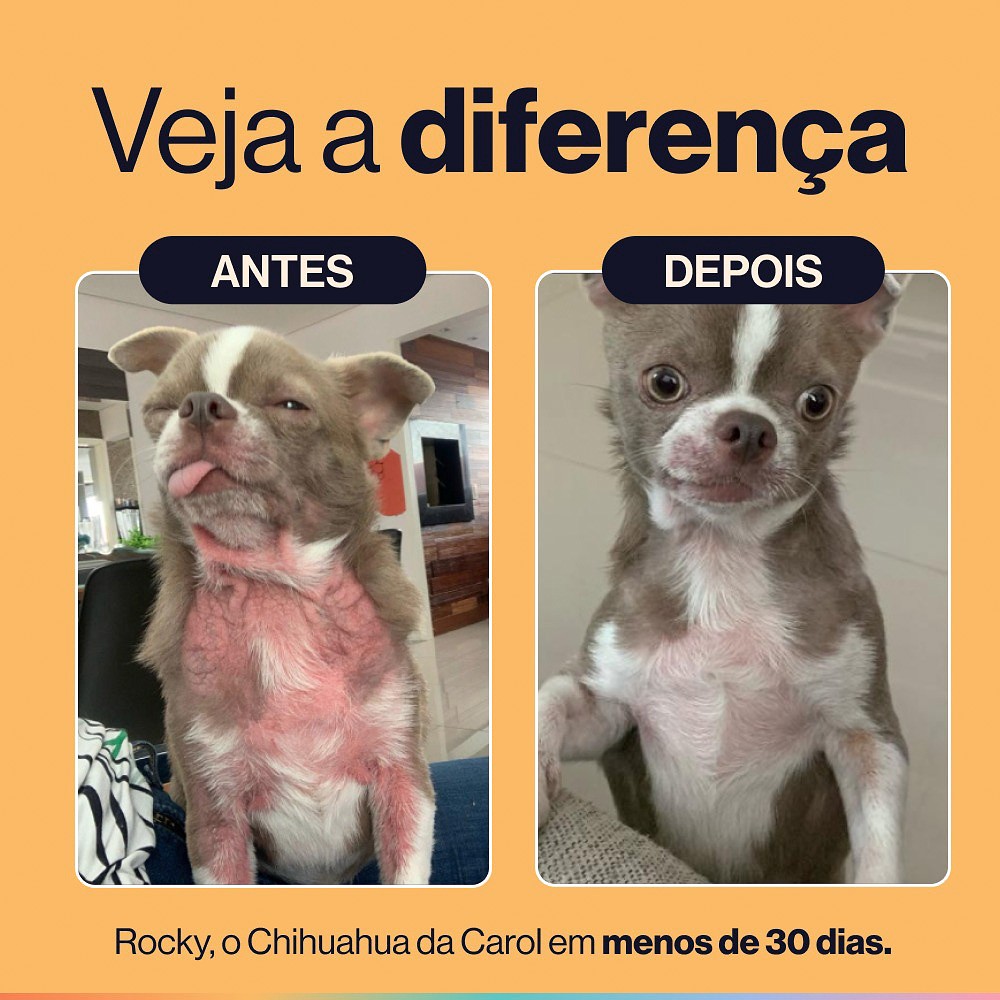 Suplemento Alimentar Buddy Nutrition Pele & Pelagem Sabor Carne para Cães - 60 Tabletes