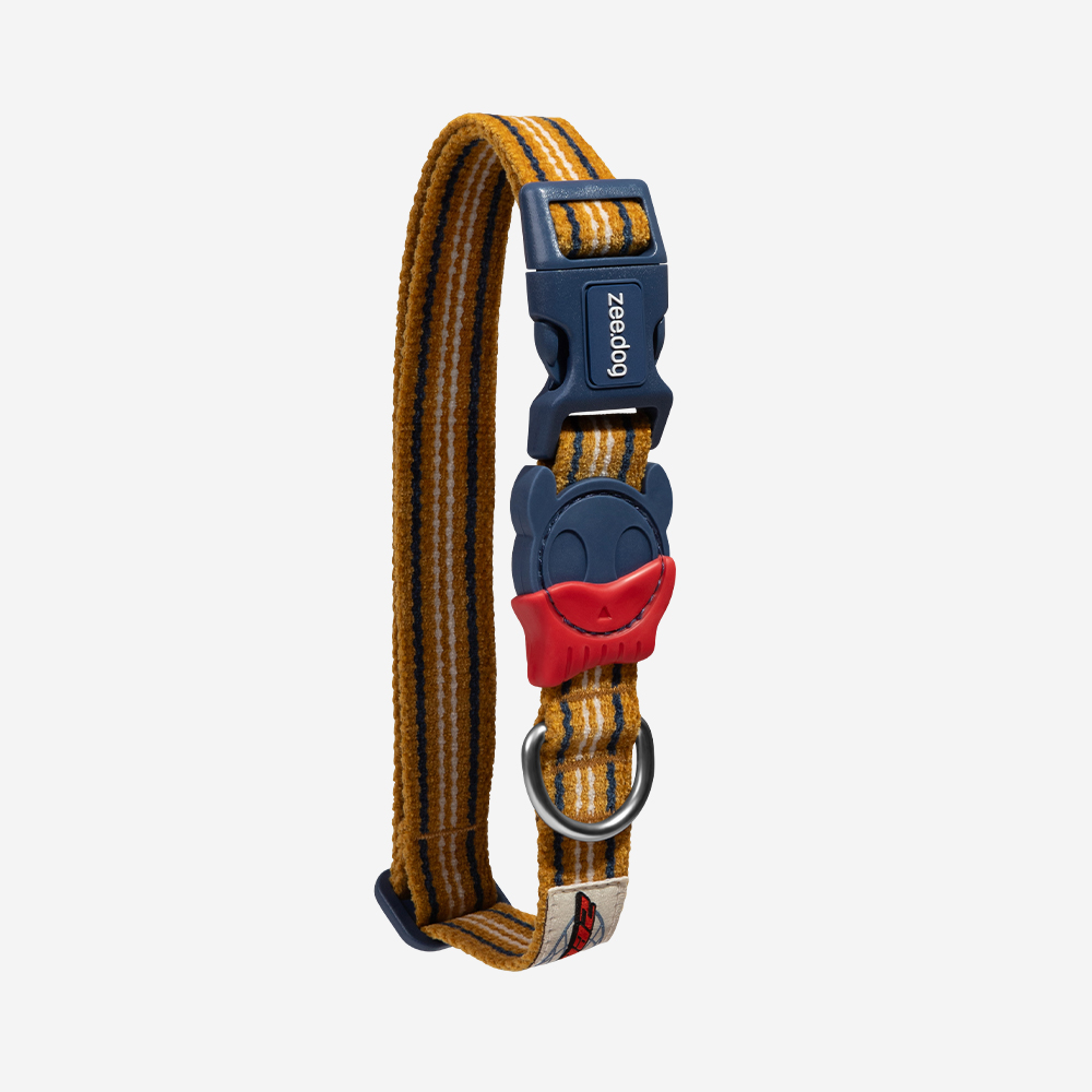 Coleira para Cachorros Velvet Vibes Misfit | Imagem 0