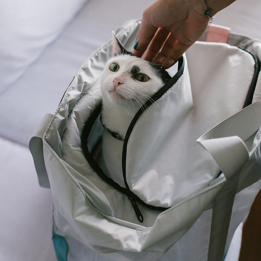 Bolsa de Transporte para Gatos Kombucha