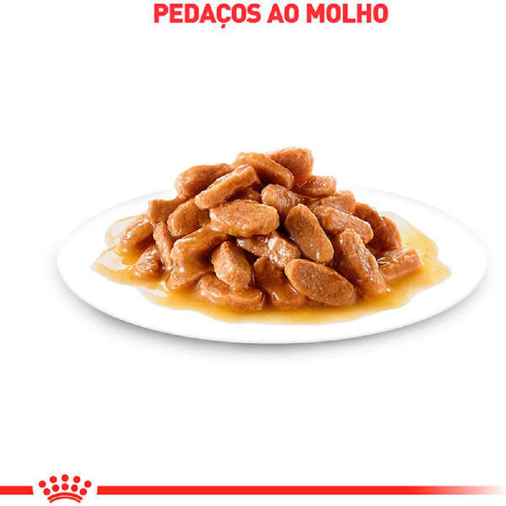 Ração Royal Canin Sachê Controle do Apetite para Gatos Adultos