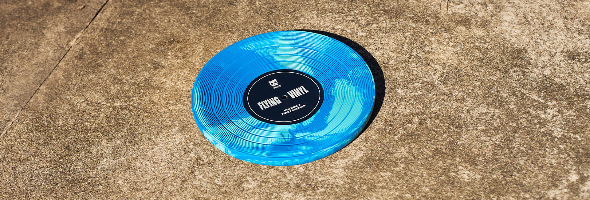 Brinquedo para Cachorros Vinyl Frisbee | Lifestyle Images
