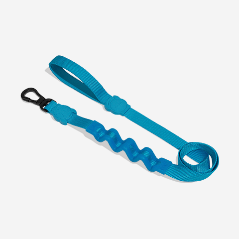 Guia com Amortecedor 2.0 para Cachorros Ultimate Blue G