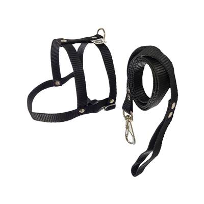 Peitoral com Guia Griff Dog Tradicional Liso para Cães - Cores Sortidas Tam 4