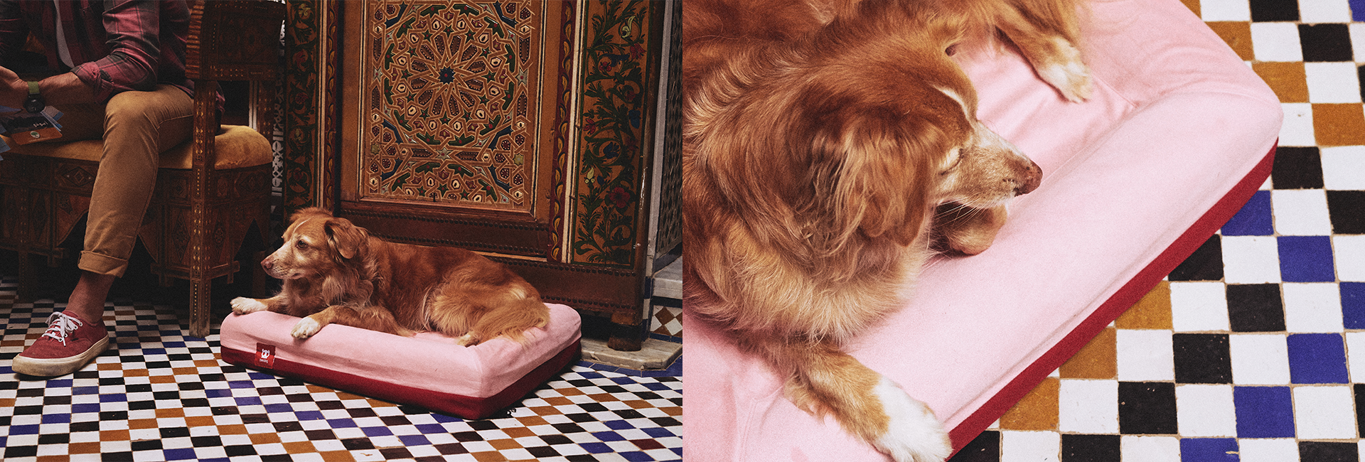 Cama para Cachorros Zee.Bed Najima | Lifestyle Images