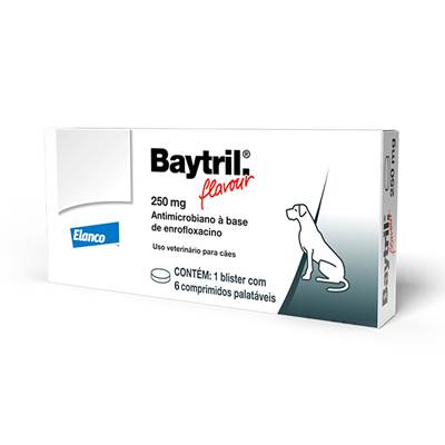 Baytril Flavour 250mg - 6 Comprimidos 250mg