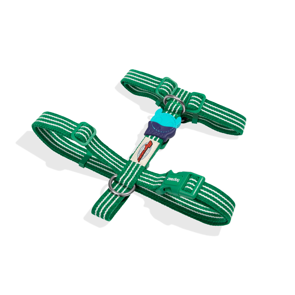 Peitoral para Cachorros H Velvet Vibes Vert