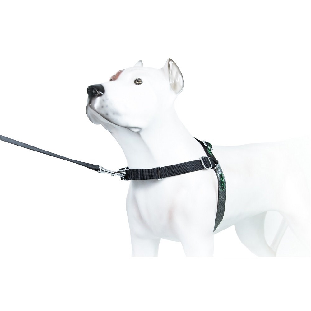 Peitoral K9 Spirit Treinamento para Cães Preto