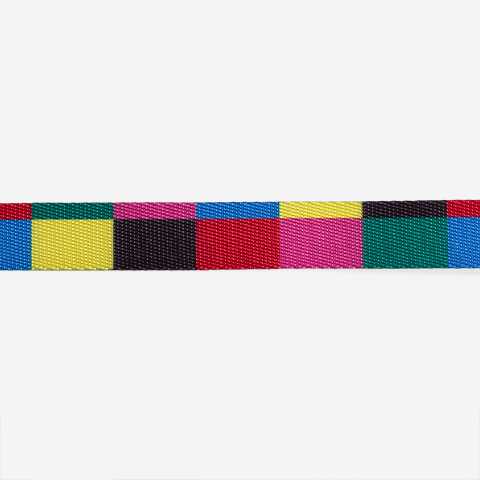Coleira para Cachorros Colorbless | Zee.Dog