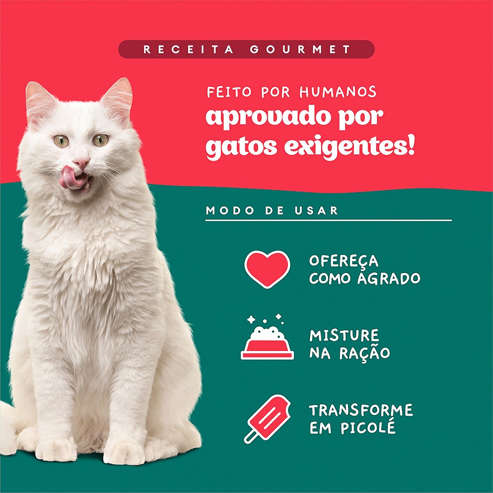 Sachê Natural Pet Delícia Ragu de Carne com Chia para Gatos
