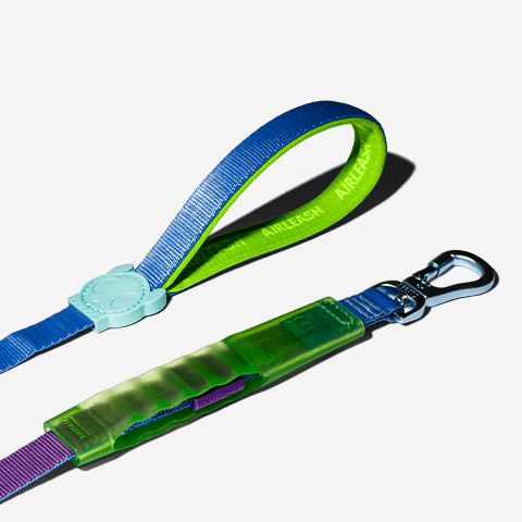 Guia para Cachorros Airleash Cali Uno 1M