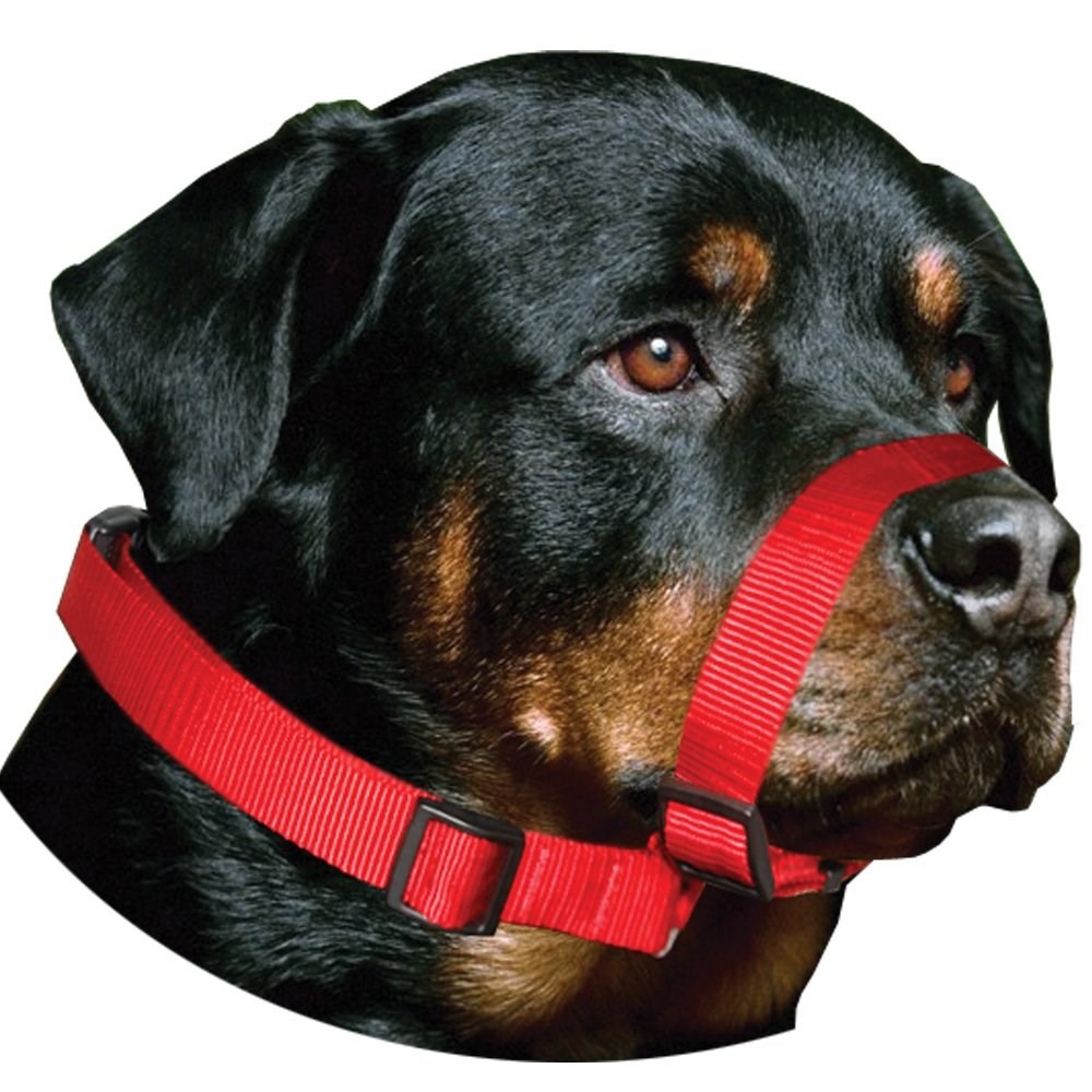 Focinheira AMF para Cães Passeio Ajustável
