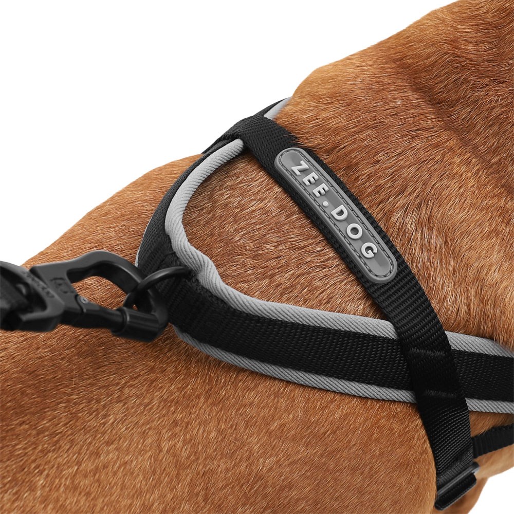Peitoral Antipuxão SofterWalk para Cachorros Gotham