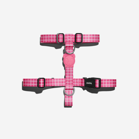 Peitoral para Cachorros H Pink Wave M