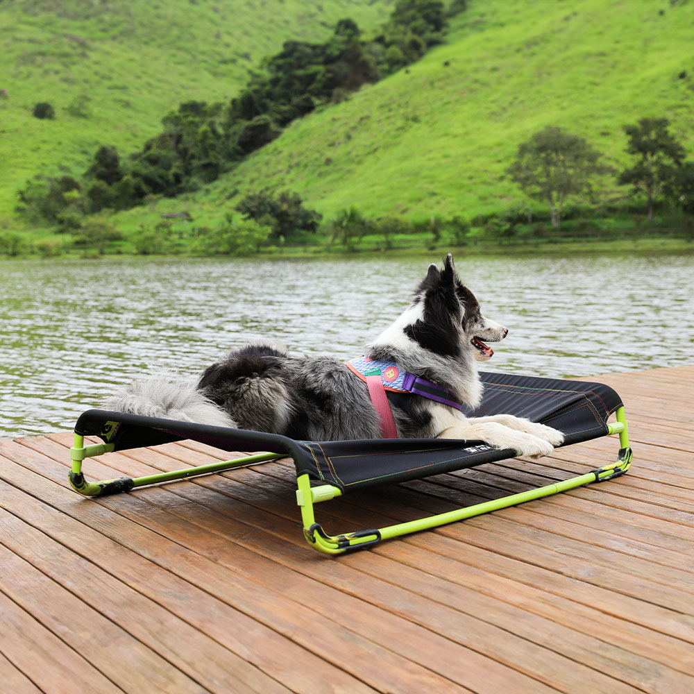 Cama para Cachorros Air.Bed Preta | Zee.Now