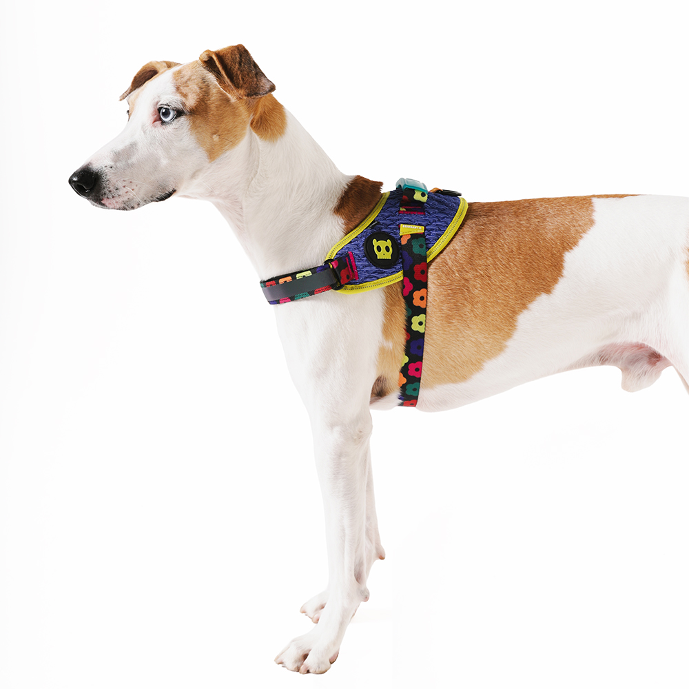Peitoral para Cachorros FlyHarness FARM Rio Samba