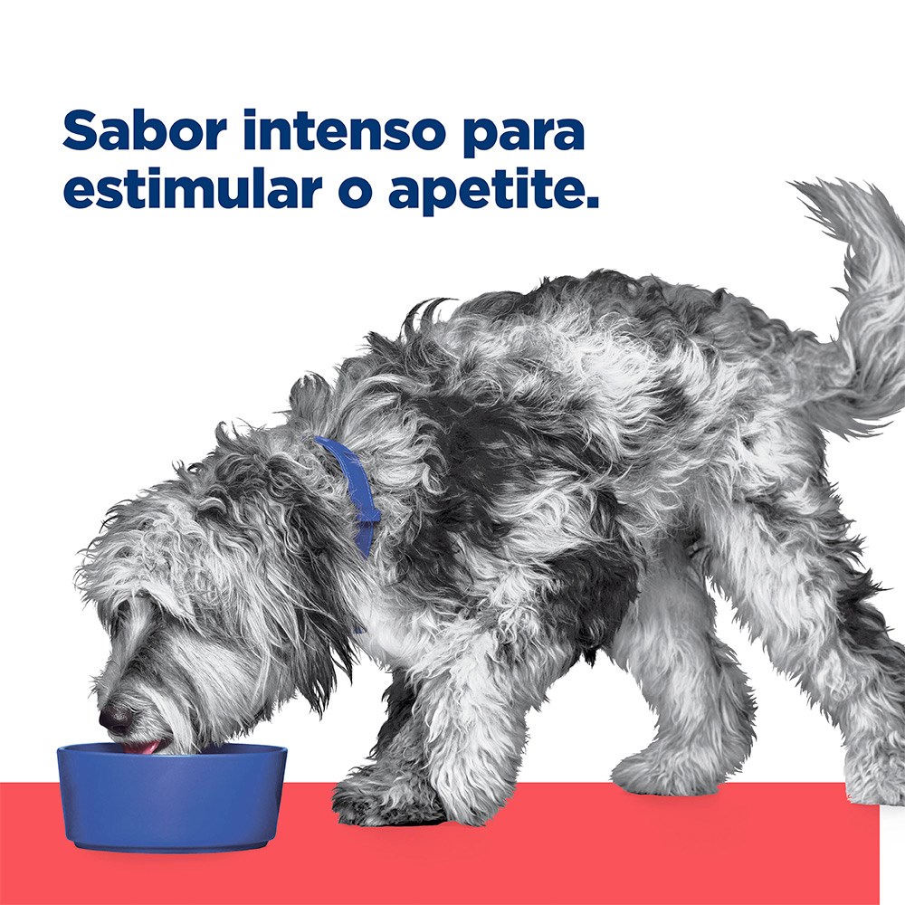 Ração Úmida Hill's Prescription Diet ONC Care Cuidado Oncológico para Cães