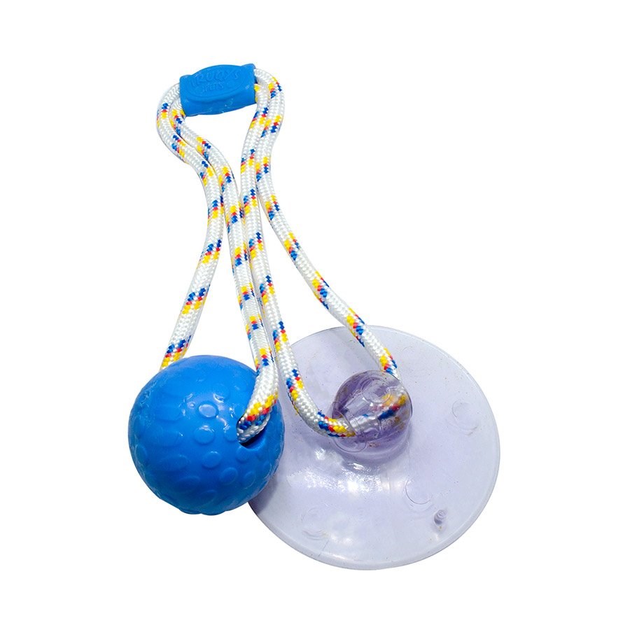 Brinquedo Truqys Push Ball Pet Azul