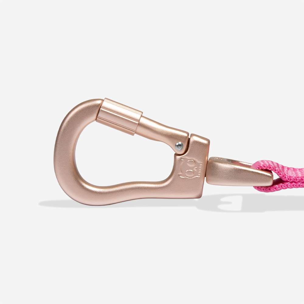 Guia para Cachorros Airleash FARM Rio Selva | Imagem 5