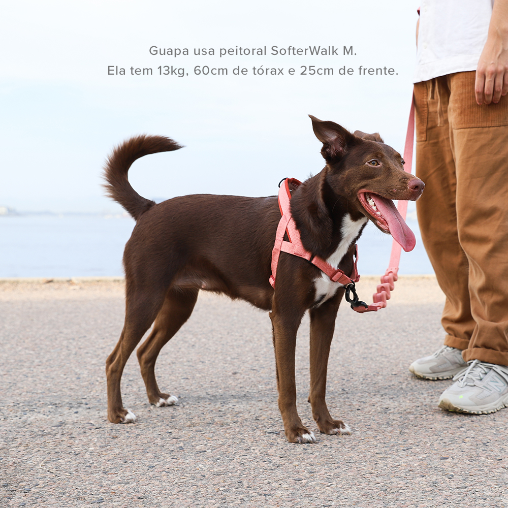 Peitoral Antipuxão SofterWalk para Cachorros Naturals Canyon