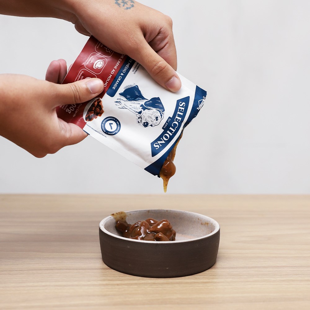 Ração Úmida Selections For Pets para Cães Adultos de Porte Médio e Grande Sabor Carne ao Molho