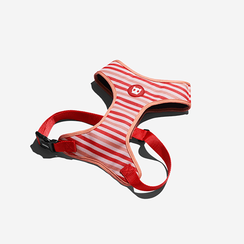 Peitoral para Cachorros Air Mesh Peppermint | Zee.Dog