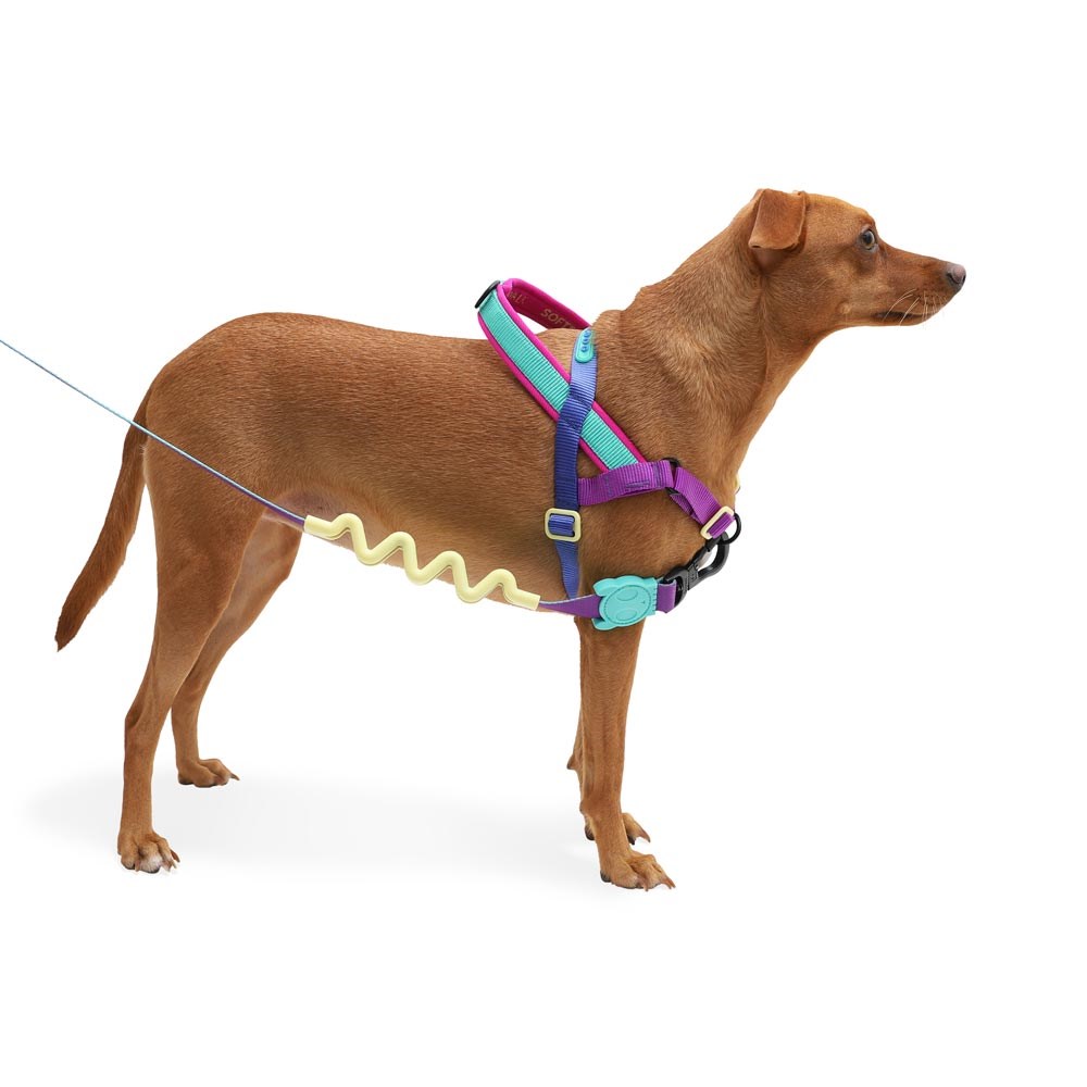 Peitoral Antipuxão SofterWalk para Cachorros Shockwave