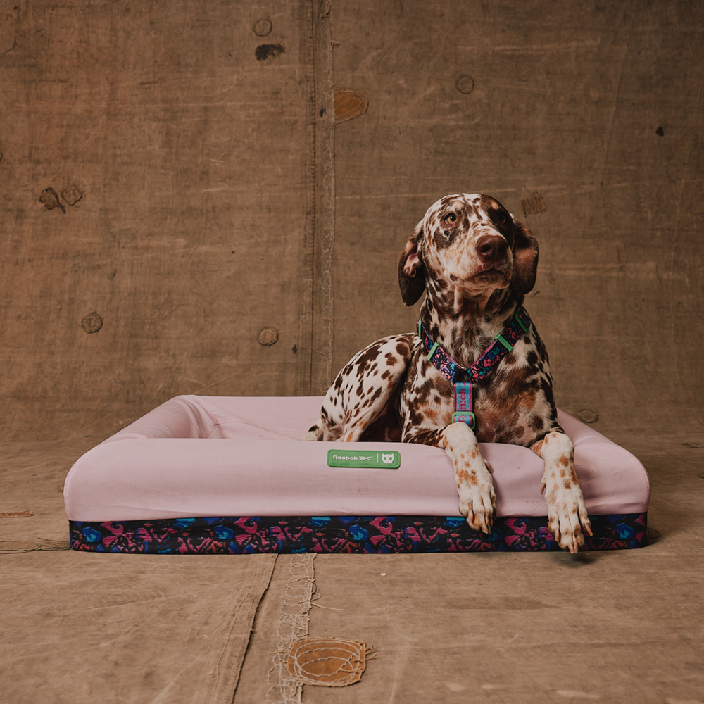 Cama para Cachorros Zee.Bed Reebok Aerobic | Imagem 4