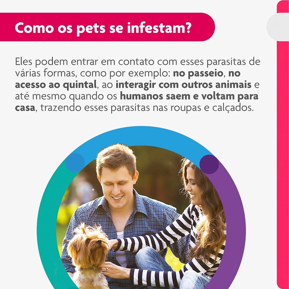 Antipulgas e Carrapatos Bravecto Transdermal para Cães de 2kg a 4,5kg - 112,5mg