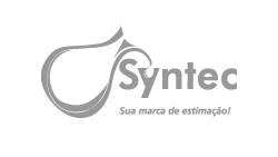 Logo Syntec