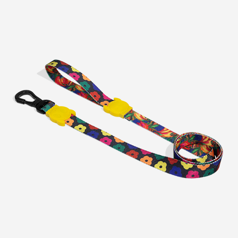 Guia para Cachorros FARM Rio Samba | Zee.Dog