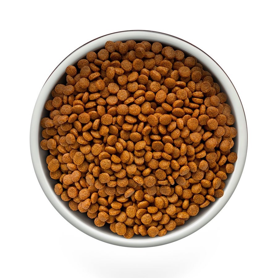 Ração Guabi Natural Grain Free para Cães Adultos Porte Mini sabor Frango & Lentilha