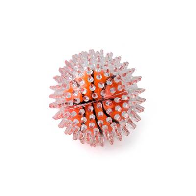 Brinquedo Spike Bola Basket Spiky para Cães U