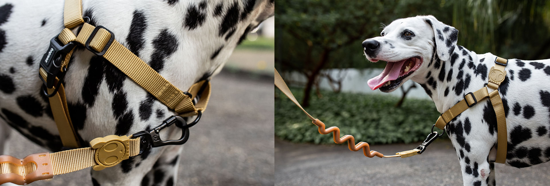 Guia com Amortecedor 2.0 para Cachorros Sand | Lifestyle Images