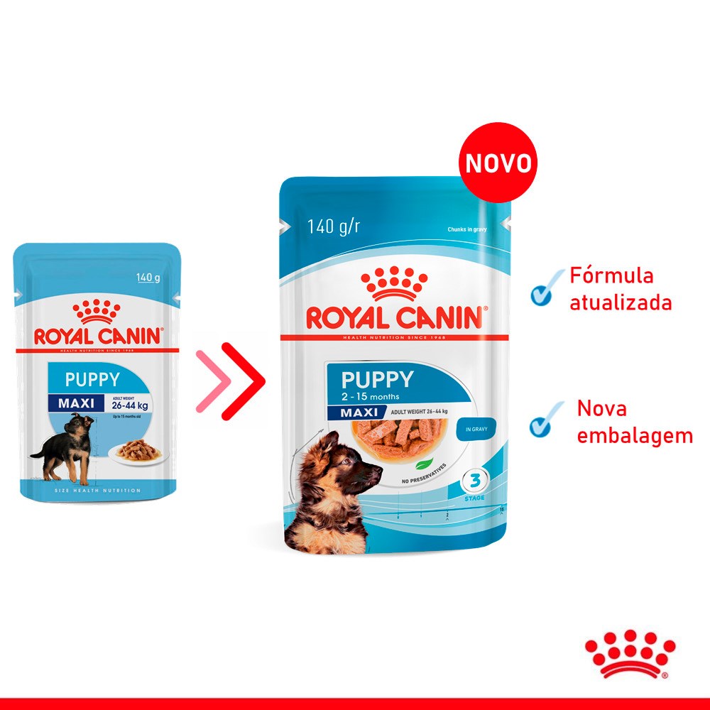 Ração Royal Canin Sachê Maxi Puppy para Cães Filhotes de Porte Grande 