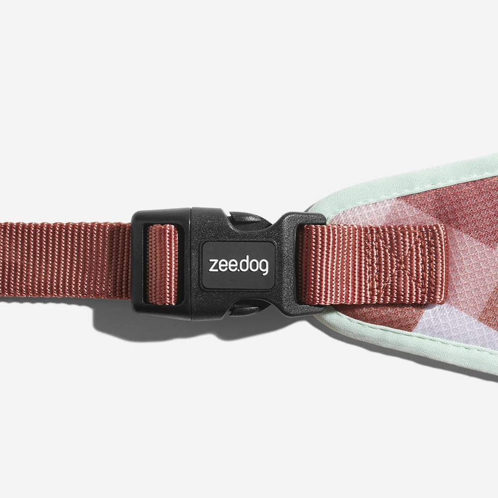 Peitoral para Cachorros Air Mesh Laguna | Imagem 5