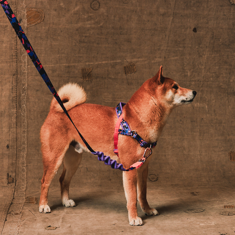 Peitoral Antipuxão SofterWalk para Cachorros Reebok Court