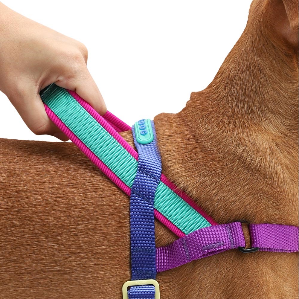 Peitoral Antipuxão SofterWalk para Cachorros Shockwave