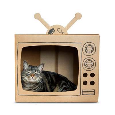 Arranhador TV Tubo de Papelão Cansei de Ser Gato U
