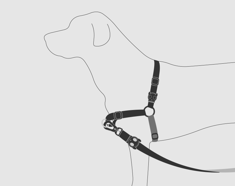 Peitoral para Cachorros Antipuxão Gotham