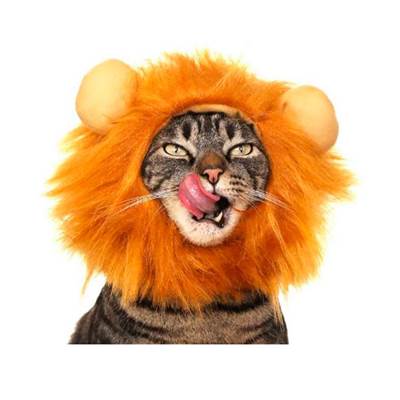 Fantasia Juba de Leão Cansei de Ser Gato U