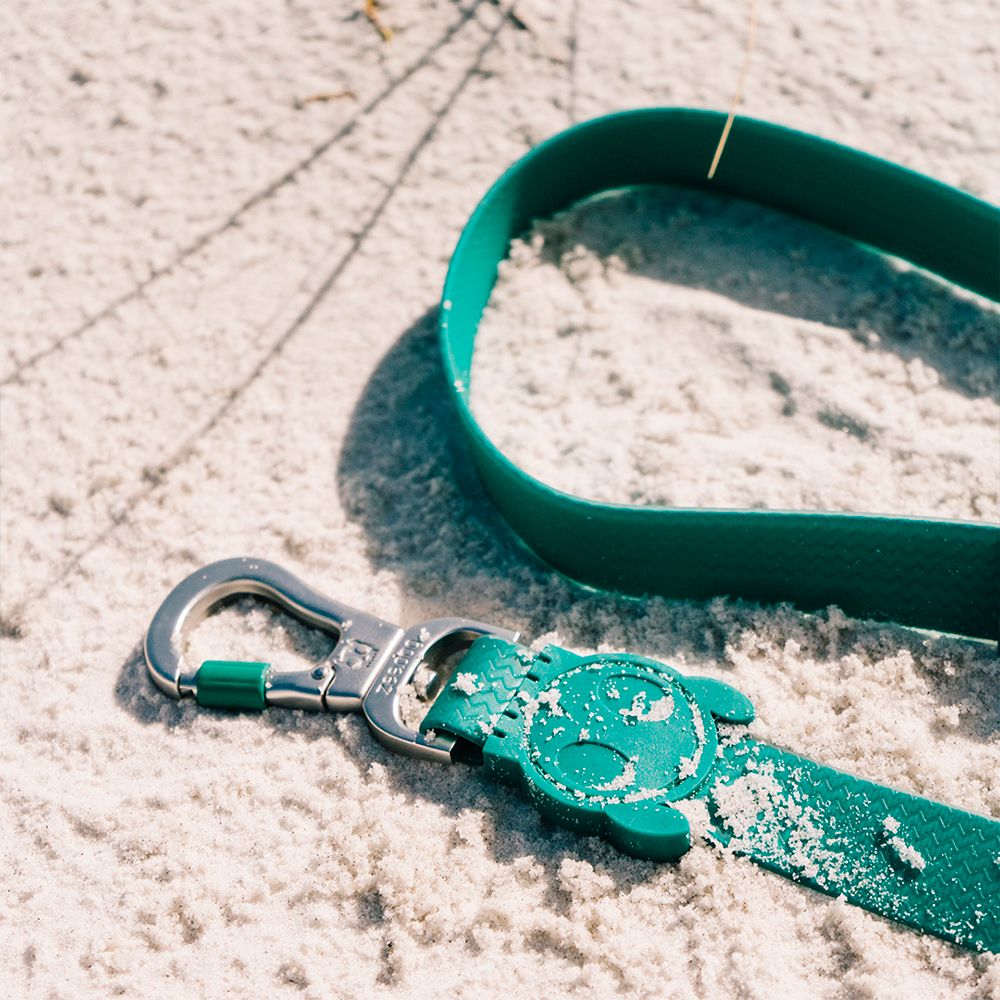 Guia para Cachorros Neopro Amazonia