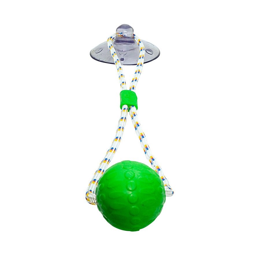 Brinquedo Truqys Push Ball Pet Verde